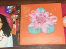 Björk Post PINK TRANSLUCENT Vinyl LP