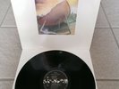 STING - THE SOUL CAGES / MINT  / 1. PRESS HOLLAND