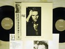 STING NOTHING LIKE THE SUN A&M C35Y3203 Japan OBI VINYL 2LP