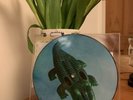 George Ezra - Shotgun Vinyl Single - Picture Disc