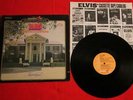 Elvis 