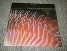 Electric Prunes - Release Of An Oath(Stereo) - Reprise - UK Original Pressing LP