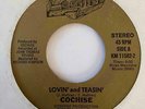 Metal Hard Rock 45 COCHISE Lovin' & Teasin'/Falling Star HEAR Rare L.A.