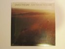 SAVES THE DAY Stay What You Are LP ORIGINAL VAGRANT PRESS emo punk RARE SEALED