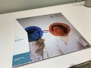 Dirty Projectors - Bitte Orca Vinyl Me Please 2LP Coloured Vinyl BNIB SEALED