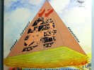 PAN AFRIKAN PEOPLES ARKESTRA w/HORACE TAPSCOTT FLIGHT 17 RARE ORIG '78 NIMBUS LP