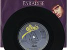 The Stranglers - Paradise (Rare A Label PROMO) 7
