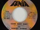 Harvey Averne Band 