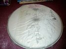 CHEAP TRICK DRUMHEAD AUTOGRAPHED SIGNED BY ALL 4 MEMBERS CLEAN USED DRUMHEAD