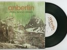 Anberlin 
