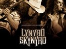 BEST OF / LIVE by LYNYRD SKYNYRD Vinyl LP