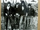 THE RAMONES   self titled - SIRE # SR-6020 LP Punk 1976 MINT-