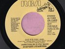 James Walsh Gypsy Band 