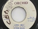 JUNIOR BYLES LEE PERRY Long Way ORCHID 45 Roots Reggae Dub