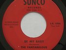 Garage Phil Spector THE FANTABULOUS JAGS Be My Baby / Magic Wand SUNCO 45 HEAR