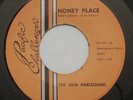 Sunshine Pop Psych THE NEW HARLEQUINS Honey Place NM- PACIFIC CHALLENGER 45 HEAR