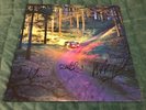 Drenge - Undertow - SIGNED - Vinyl Record LP