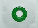 RARE J. Robert Jones WHY THE UNITED KLAN BURNS CROSSES NEAR MINT 45 RPM KKK