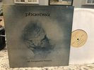 TANGERINE DREAM PHAEDRA LOOKS UNPLAYED NEAR MINT GORGEOUS VINYL LP 1981 USA