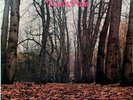 Très Rare LP Vinyle TWINK - Think Pink