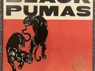 Black Pumas Deluxe Edition 2LP + 45 Spotify Fan First Colored Vinyl Limited 1000