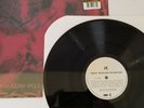 KYUSS - BLUES FOR THE RED SUN - VINYL LP RECORD - 2014 REPRESS - NEAR MINT