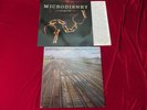 4x MICRODISNEY :we hate you.. THE CLOCK COMES DOWN STAIRS crooked mile TOWN TO..