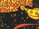 Paul Kidney Experience/Acid Mothers Temple