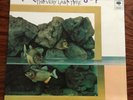 ROCK WORKSHOP Lp THE VERY LAST TIME - UK PSYCH JAZZ ROCK & BBOY FUZZ FUNK oHEARo