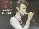 DAVID BOWIE OUVREZ LE CHIEN LIVE DALLAS 95 VINYL, LTD EDITION, SEALED - SOLD OUT