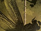 coheed and cambria second stage turbine blade green dbl vinyl  rollin rec copy