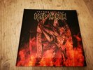 Incorruptible von Iced earth (2017)