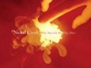 NICKEL CREEK: WHY SHOULD THE FIRE DIE (LP vinyl *BRAND NEW*.)