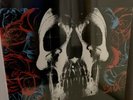 Deftones Deftones Vinyl LP Not Ohms White Pony Diamond Eyes