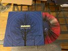 Bane Don’t Wait Up Record  Down To Nothing Terror Have Heart Boston Hardcore