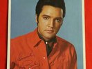 Elvis 