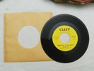 45 RPM, The Giant Red Jellybean, I Need Her, NM, RARE 1967 INDIANA GARAGE BAND