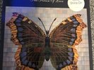The House Of Love 1990 Album