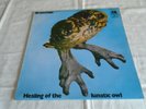 BRAINCHILD  - HEALING OF THE LUNATIC OWL   1970 UK STEREO ORIG. 1ST ISSUE  A & M