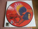 DAVID BOWIE THE MAN WHO SOLD THE WORLD PICTURE DISC RSD