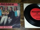 MEADOW - Don't be afraid / Love to survive Private Heavy Metal 7