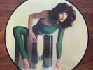 KATE BUSH The Kick Inside UK PICTURE DISC EMCP 3223 VINYL LP EX