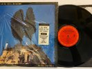Elvis Costello - Goodbye Cruel World - 1984 US 1st Press (NM) HYPE Sticker