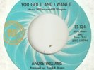ANDRE WILLIAMS You Got It And I Want It RIC TIC DETROIT NORTHERN SOUL USA 45