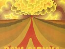 SAVOY BROWN - RAW SIENNA -  NEAR MINT -  SUPERB