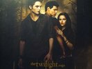 The Twilight Saga: New Moon [LP] (Vinyl, Nov-2009, 2 Discs, Atlantic USA)