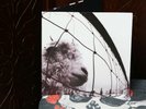 PEARL JAM - Vs - Eddie Vedder - 1 LP MINT VG+