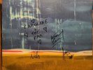 The Rural Alberta Advantage - Hometowns (2009) Signed Record 33rpm