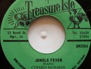 45 / ISLAND FUNKY  / CYNTHIA RICHARDS / JUNGLE FEVER / TREASURE ISLE/ LISTEN