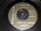 TEEN DOOWOP Sammy Surf & Teen Tones Story Of A Dream Pledging My Love VG+ HEAR
